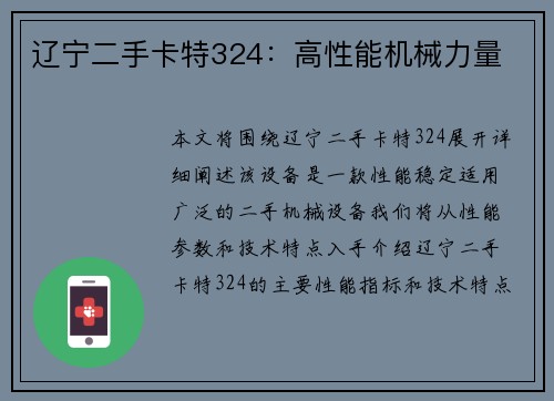 辽宁二手卡特324：高性能机械力量